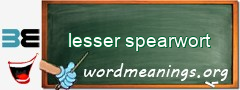 WordMeaning blackboard for lesser spearwort